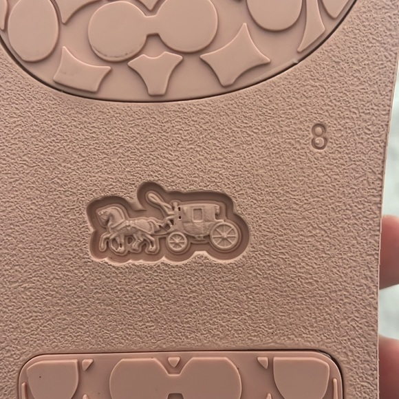 Coach slides - Picture 3 of 4